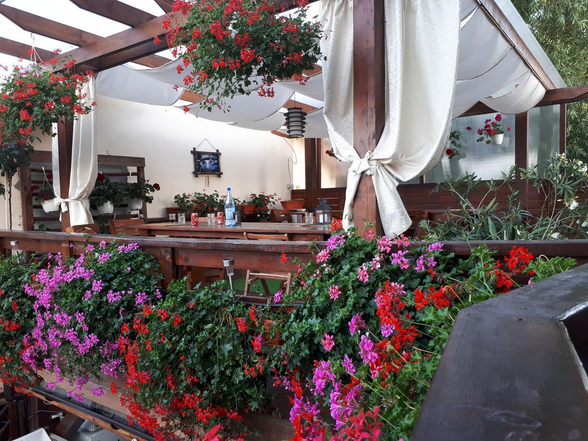 Pensiunea Daiana Năvodari Extérieur photo